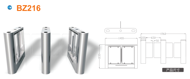 滨州摆闸BZ216